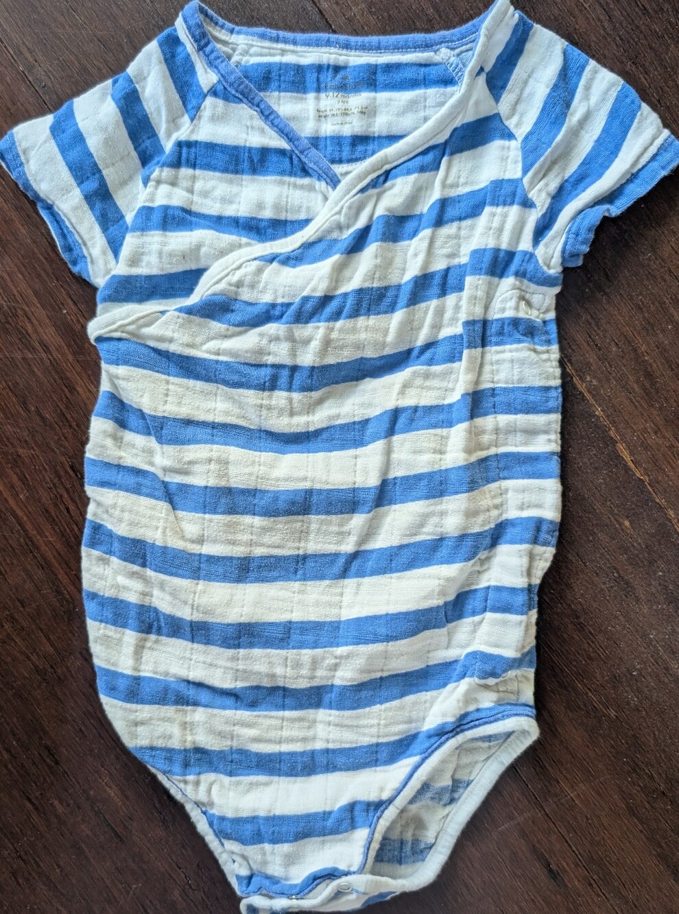 Aden & Anais Blue & White Striped Infant One-Piece Bodysuit